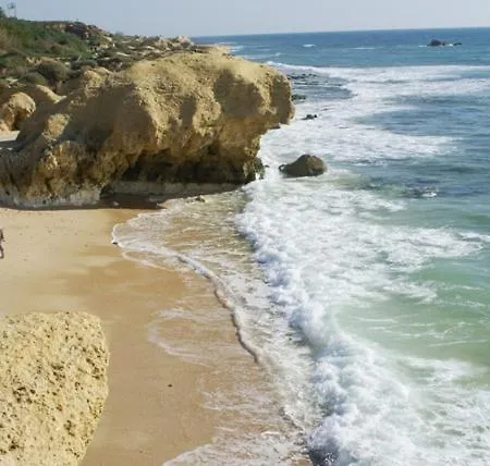 Lourenco * Albufeira